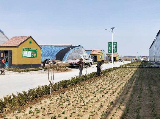 潍坊市寿光蔬菜小镇项目建设快速推进 将于2023年全面竣工