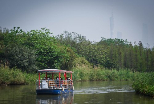 由海珠区文旅局,海珠区海珠湿地管理办公室负责人介绍海珠区文化旅游