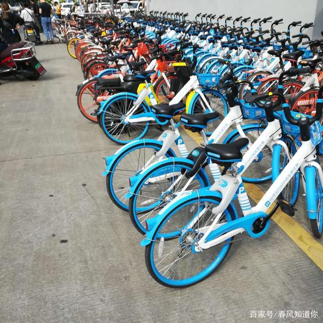 哈罗深圳大量投放单车,又要上演共享单车大战吗