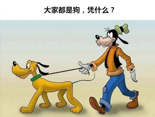 大家都是狗类,为什么高飞可以溜布鲁托?