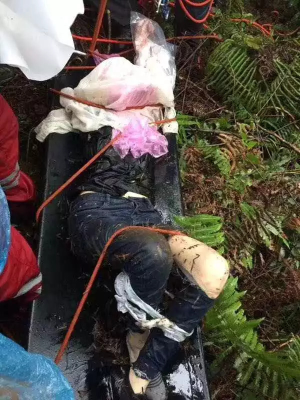 爱企查