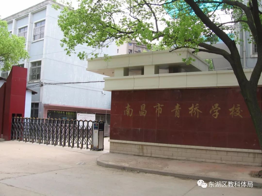 东湖教育四十年|育新学校教育集团青桥校区 走好人生每一步棋 高品位