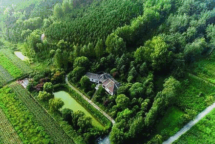 秦岭超大违建别墅是谁建的?200多件文物都是哪来的?