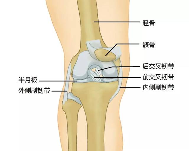 膝关节骨关节炎患者真的是自带天气预报?