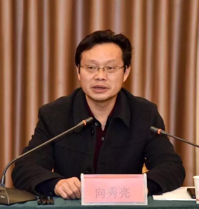 鹤城区区长向秀亮讲话