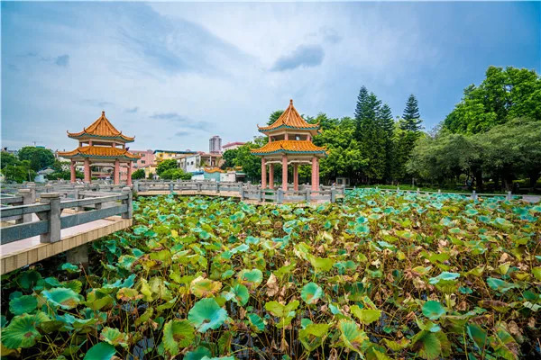 有容桂唯一村級游泳池,公園是