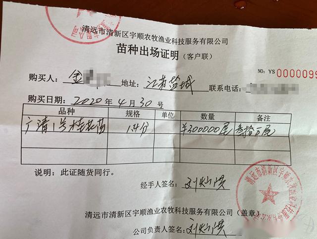 养殖户在选购"广清1号"鱼苗时请直接联系宇顺公司,以确保购买到真正的